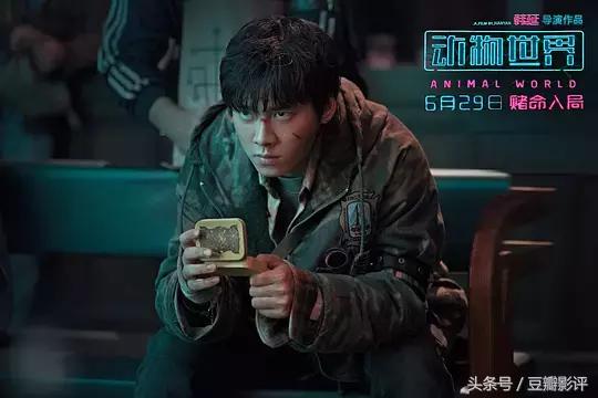 2020年豆瓣评分最高的影片排行榜,2022年上半年豆瓣评分最高的电影