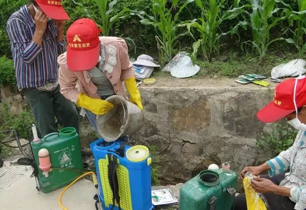 万能药芸苔素内酯,芸苔素内酯可以连续用吗