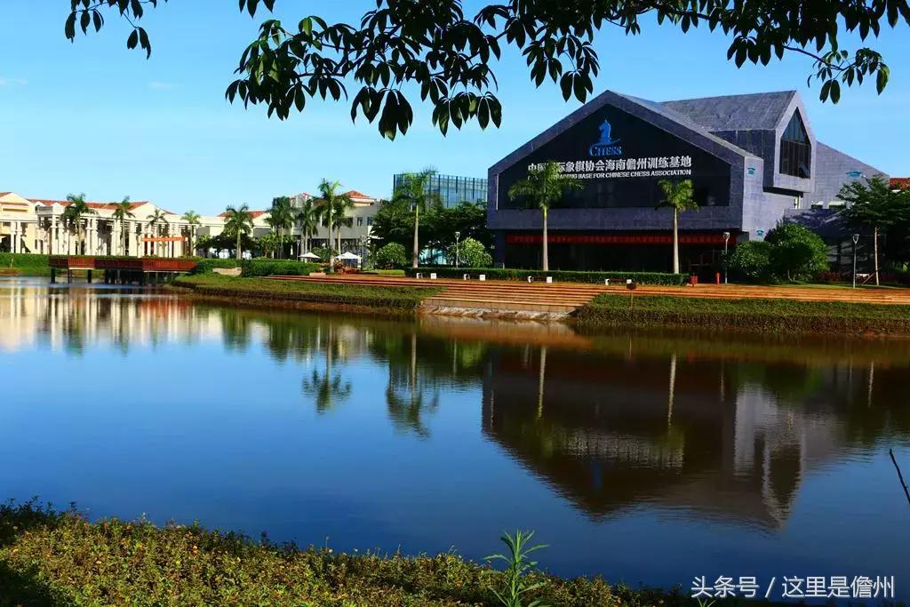 儋州国际象棋夏令营,海南围棋夏令营