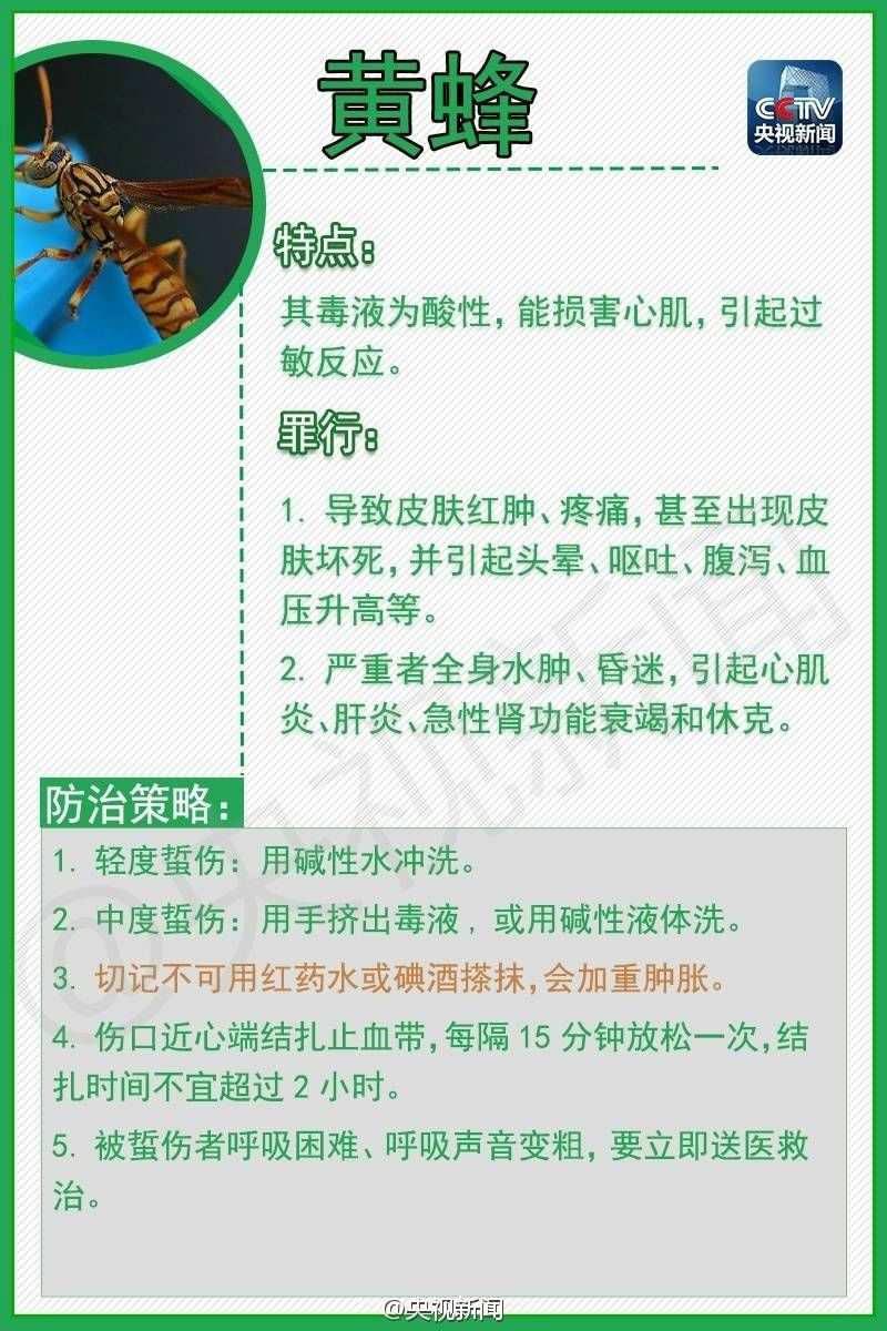 在广西被小虫子咬了怎么处理,广西女子被红蚂蚁咬后身亡