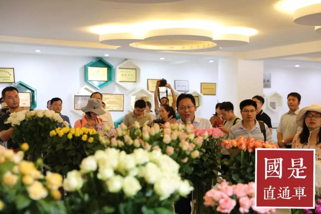 云南有一条街都是花,云南只有一条街的城市