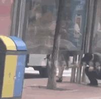 注意!这群人靠*拍偷**女生裙底月入过万!