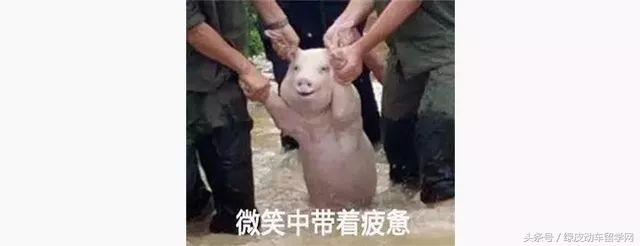 留学签证问题咨询哪里,留学咨询顾问出国机会多吗