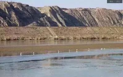 大荔话调侃,调侃大荔人视频