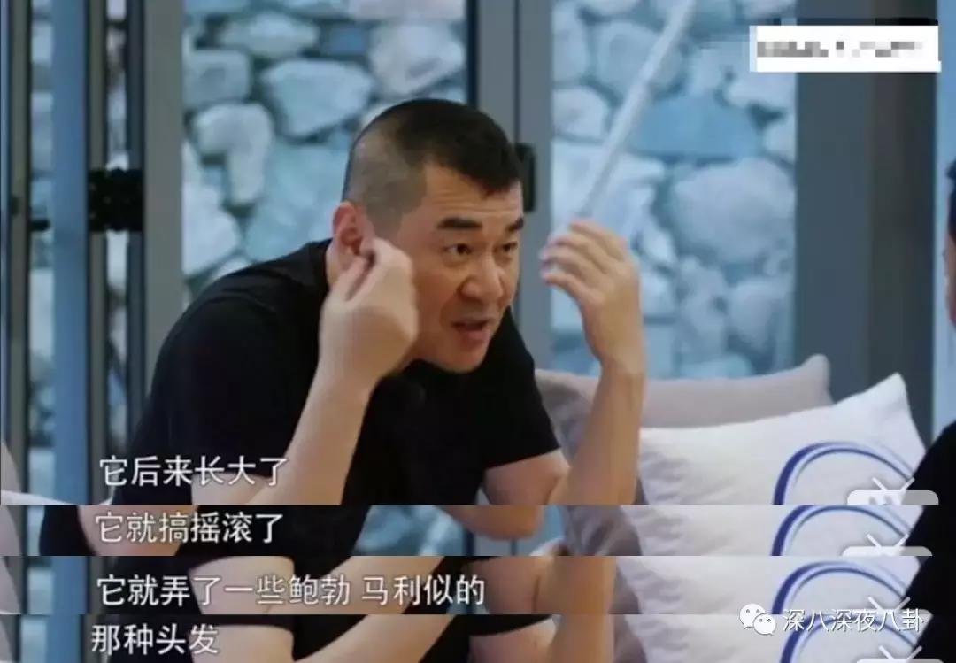 蒋勤勤查案,蒋勤勤命运多舛剧情介绍