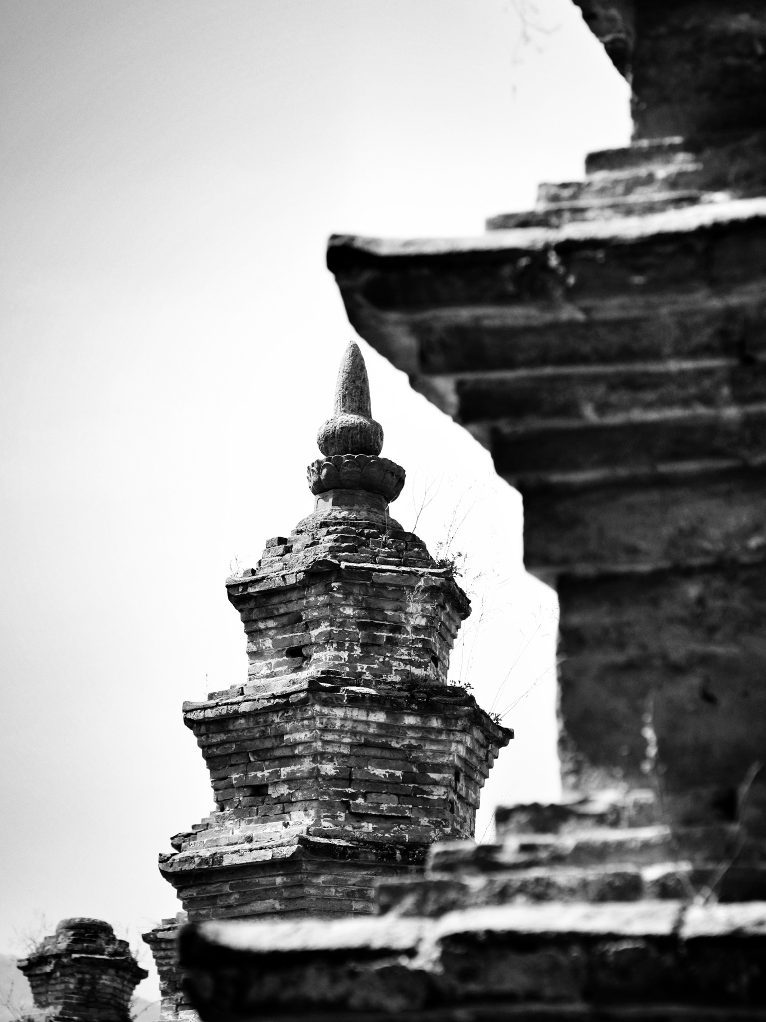 哪些地方有塔林,什么是塔林