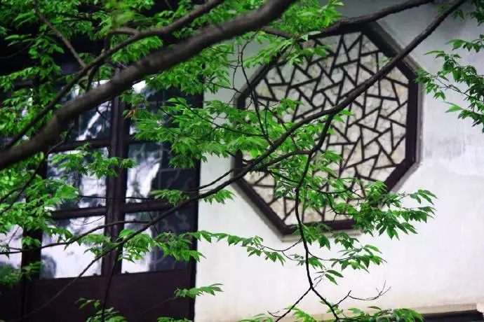 几代人的徐州记忆：三环路上数过车，体育场里踢过球，在云龙公园荡起双桨……