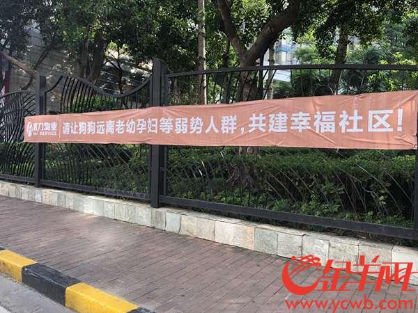 微信怎么申办养犬登记,养犬网上怎么办证