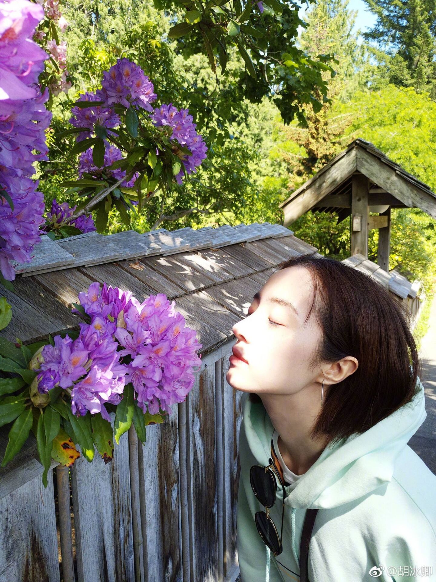 胡冰卿长相寡淡,水冰月胡冰卿