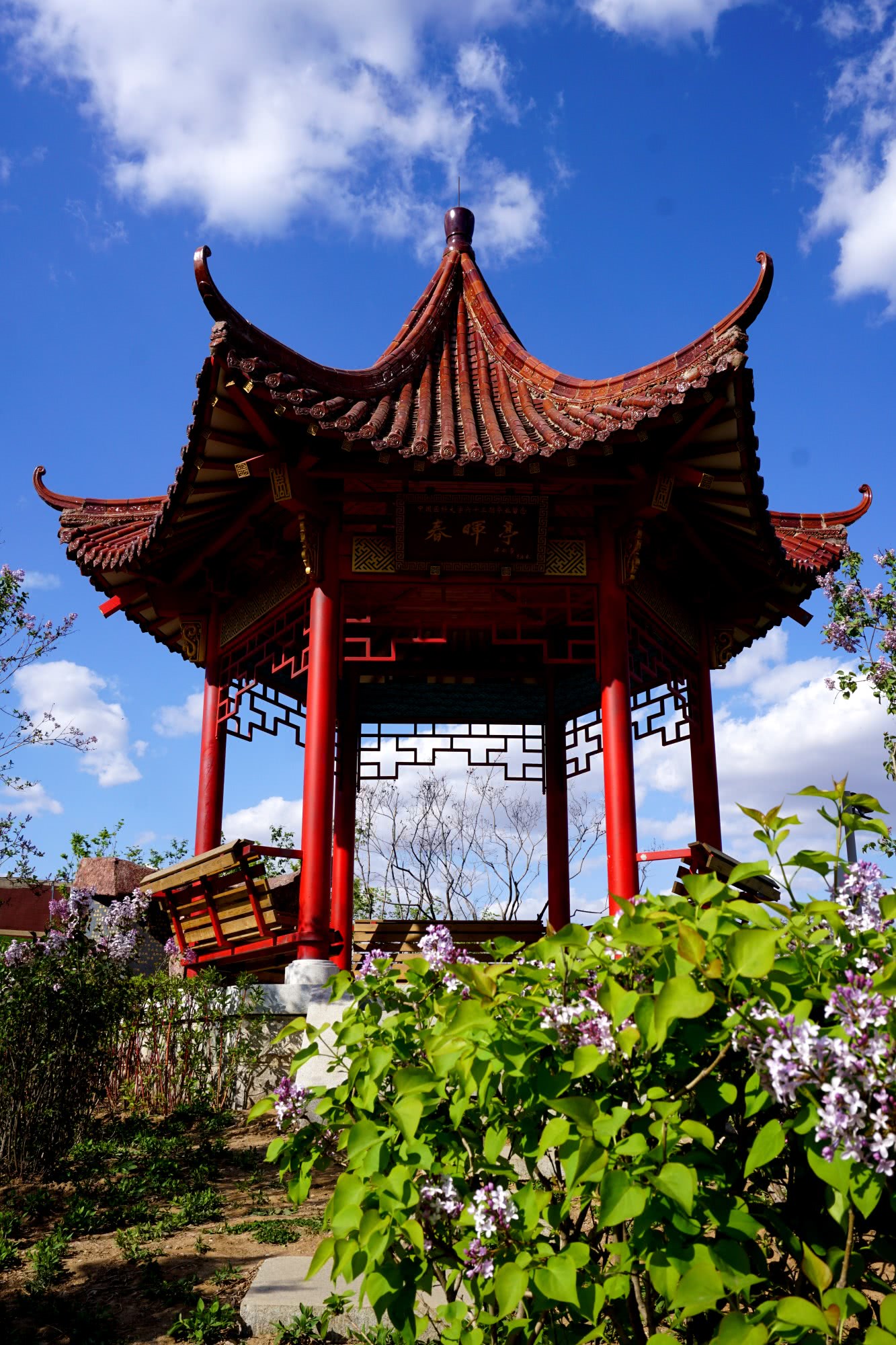 东北“最委屈”大学,顶着国字号,但却是所“四非”院校!