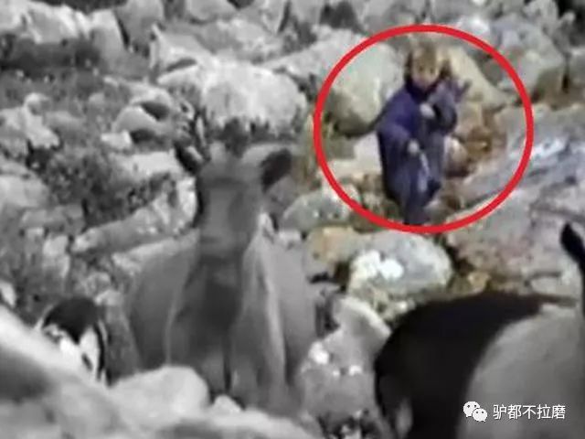 莫德里奇的悲凉感,莫德里奇的传奇之路