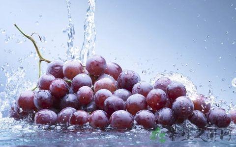 葡萄酒的养生原理和方法,葡萄酒养生真的有用吗