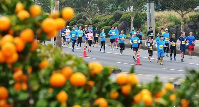 济州柑橘马拉松,济州岛柑橘马拉松