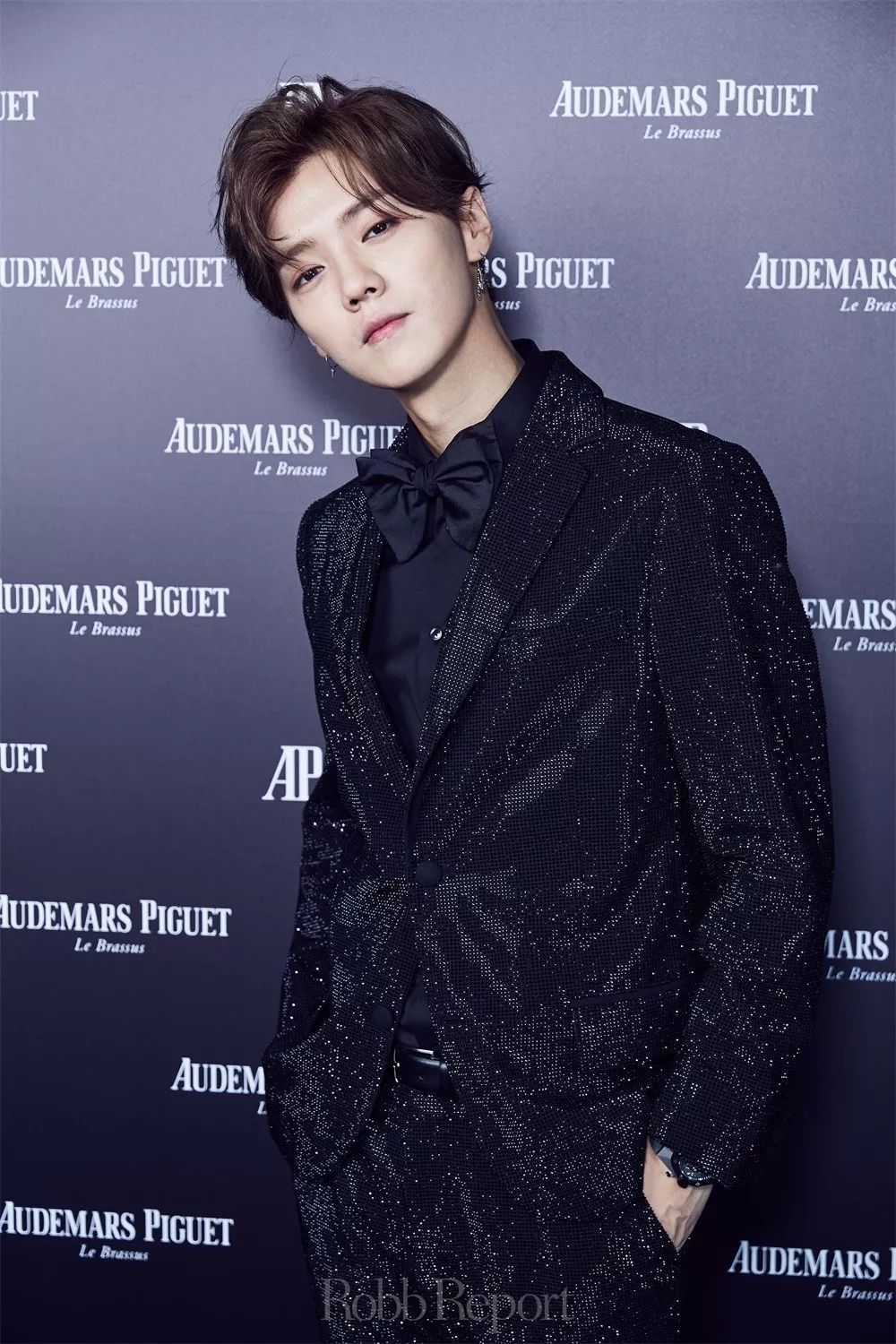 爱彼皇家橡树腕表价格,时光机飞行手表