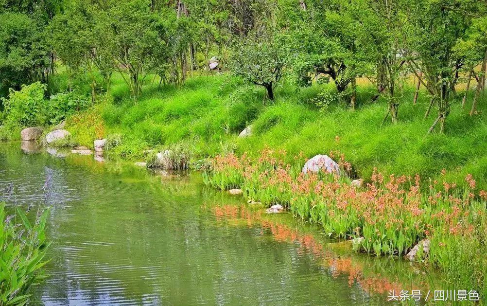小众又免费！成都地铁直达的天然氧吧！清凉洗肺又解暑！