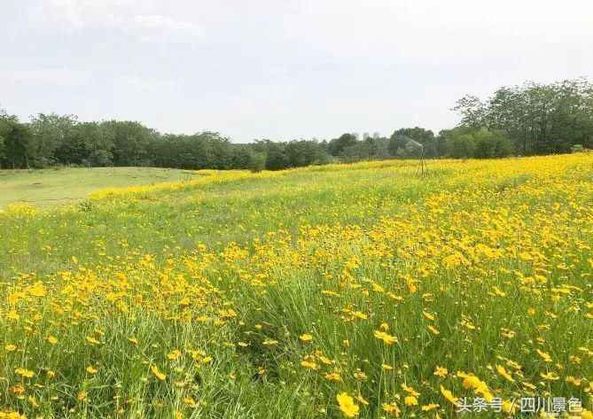 小众又免费！成都地铁直达的天然氧吧！清凉洗肺又解暑！