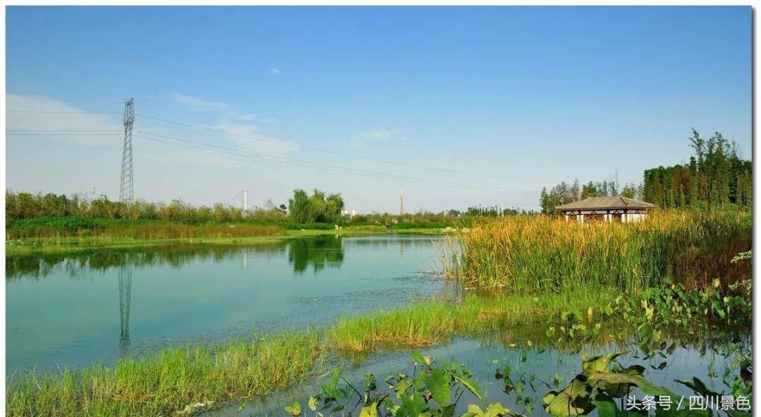 小众又免费！成都地铁直达的天然氧吧！清凉洗肺又解暑！