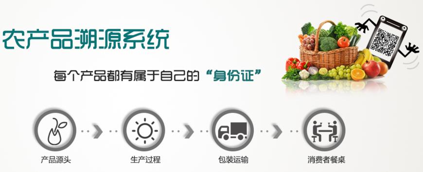 农业物联网的系统,智能农业物联网系统建设