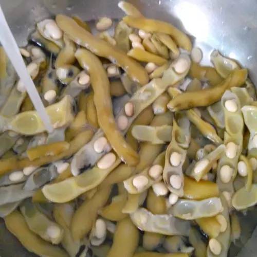 狗爪豆的来历,狗爪豆有什么作用