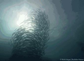 最适合浮潜的海,十大浮潜地点