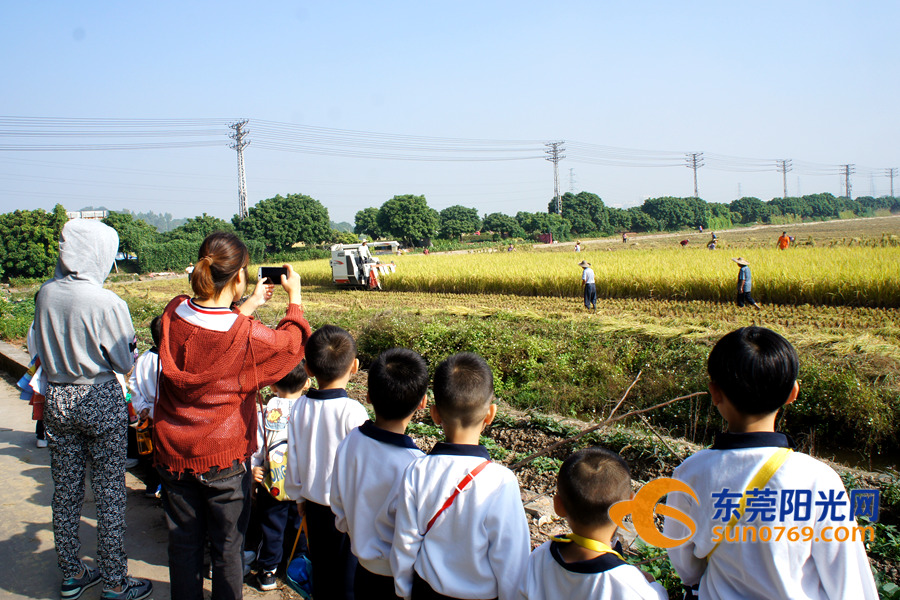 东莞普惠性民办幼儿园,东莞石排第一幼儿园办学理念