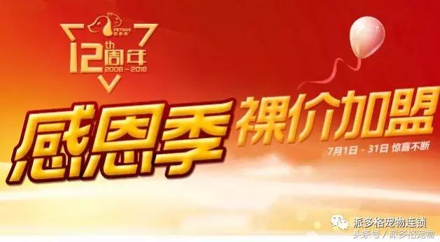 加盟派多格,加盟派多格需要多少钱