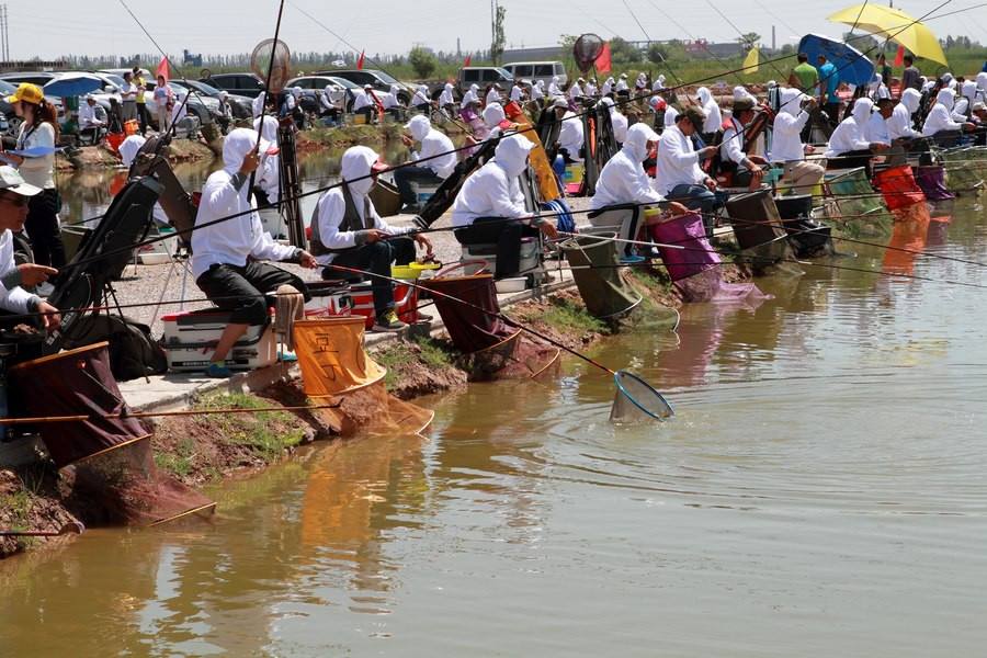 黑坑钓鱼是打窝好还是不打好,钓鱼窝子里有鱼泡但是不吃怎么办