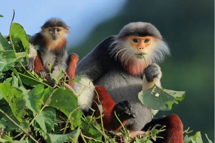 《自然之美》,自然之美摄影大赛