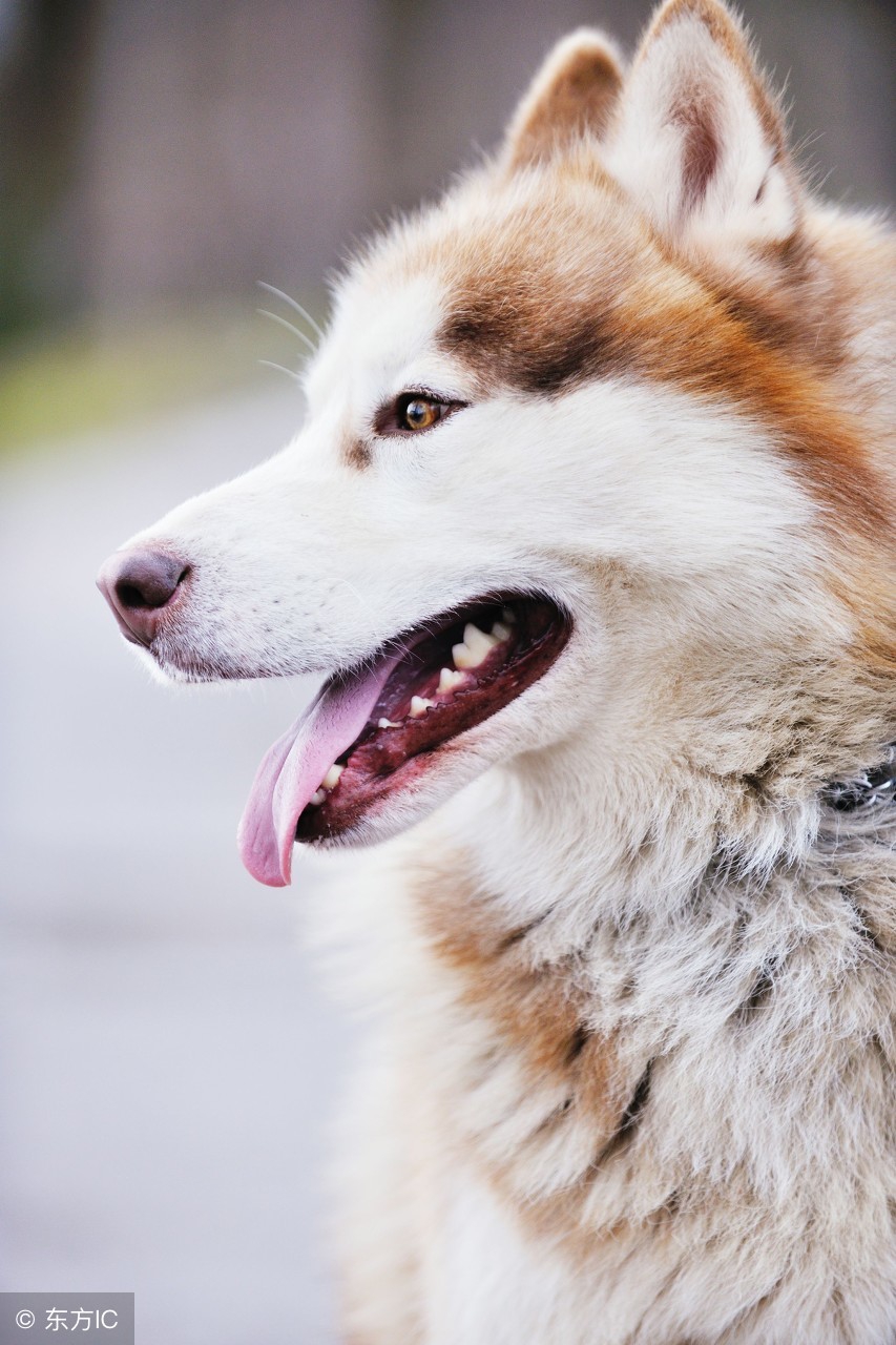 职场销售技巧与方法,职场上新人如何应对自如