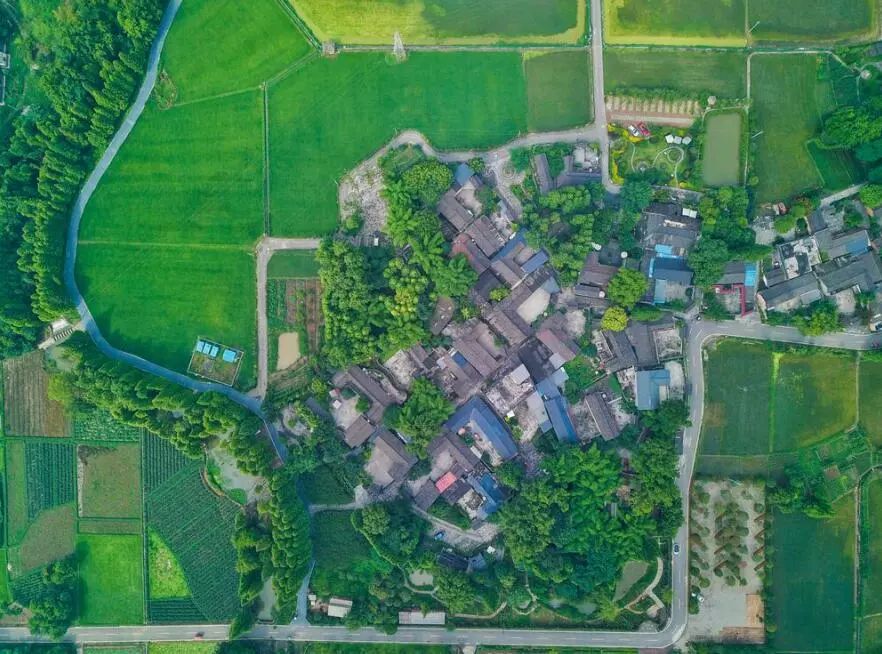 成马2024中签结果何时公布,成马中签结果何时公布