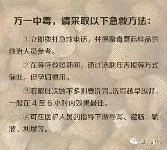 误食毒蘑菇的急救措施英文,误食毒蘑菇如何自救的视频