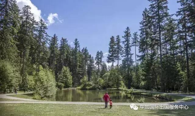 加拿大好用物品,加拿大有哪些值得带的东西便宜点