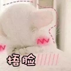 香港购物最省钱攻略,香港购物最佳攻略网站大全