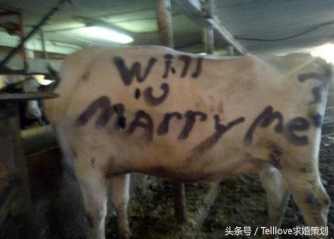 没有最奇葩，只有更奇葩！这些求婚方式都能答应，确定是真爱了