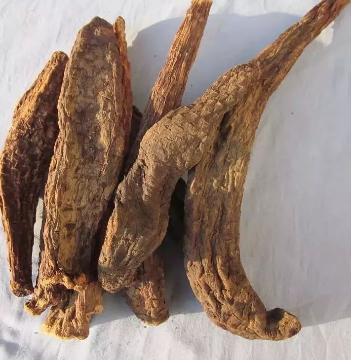 舌尖上的药店——“百年老号”叶同仁