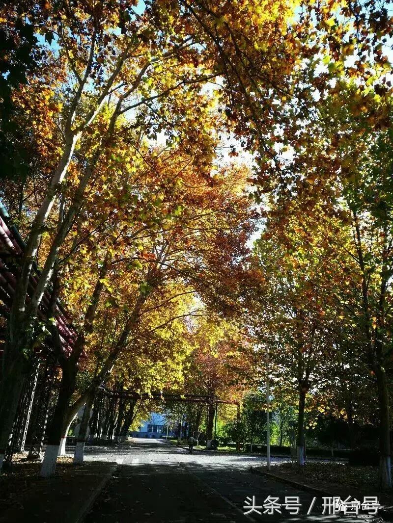 冶金厂六十年的记忆情怀！