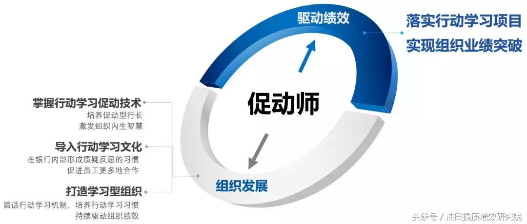 一文看懂行动学习全流程！