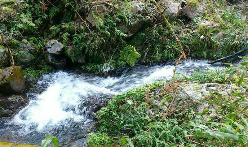 <html>
<head><title>502BadGateway</title></head>
<body>
<center><h1>502BadGateway</h1></center>
<hr><center>nginx</center>
</body>
</html>
<!--apaddingtodisableMSIEandChromefriendlyerrorpage-->
<!--apaddingtodisableMSIEandChromefriendlyerrorpage-->
<!--apaddingtodisableMSIEandChromefriendlyerrorpage-->
<!--apaddingtodisableMSIEandChromefriendlyerrorpage-->
<!--apaddingtodisableMSIEandChromefriendlyerrorpage-->
<!--apaddingtodisableMSIEandChromefriendlyerrorpage-->
