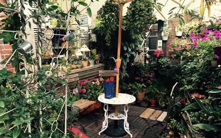 和梦里想的那个人去厦门……