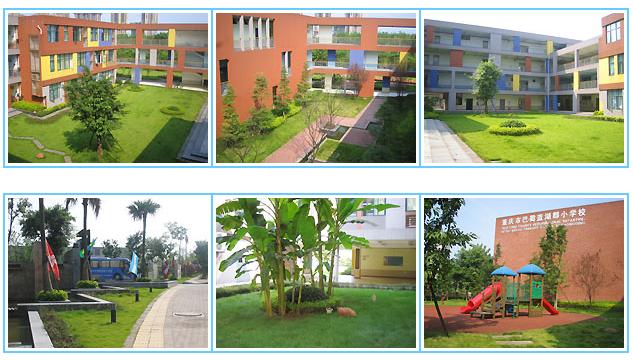 重庆民办小学学费一览表,2019年重庆民办学校择校费