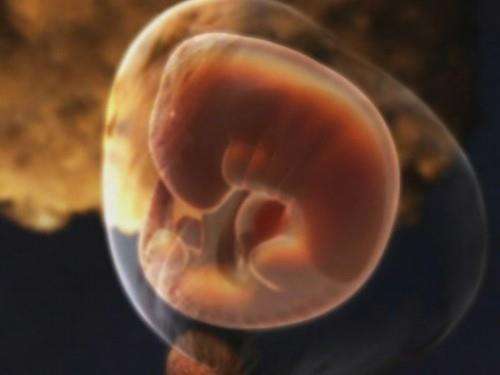 受孕着床过程真人,受孕着床过程走近科学