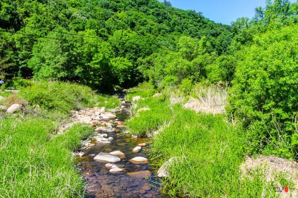 涓囧瓧鏀荤暐,涓囧瓧瑙ｆ瀽鏀荤暐