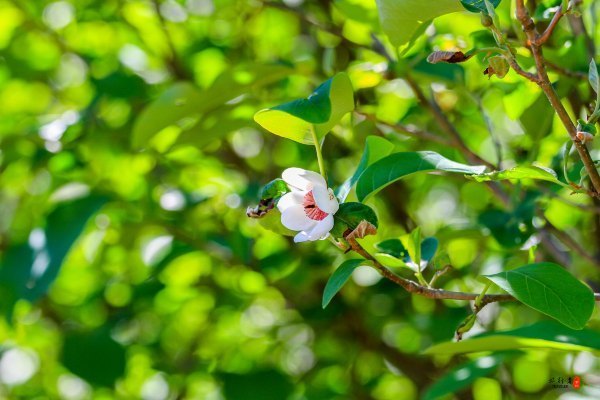 抚顺深度游攻略游记,抚顺旅游攻略自由行