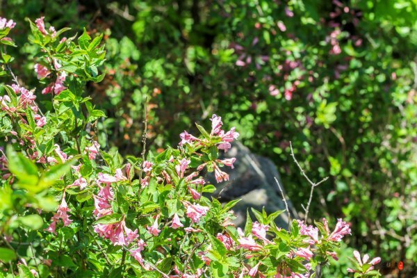抚顺攻略,抚顺深度游攻略游记