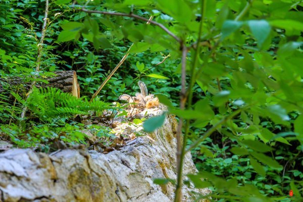 抚顺攻略,抚顺深度游攻略游记