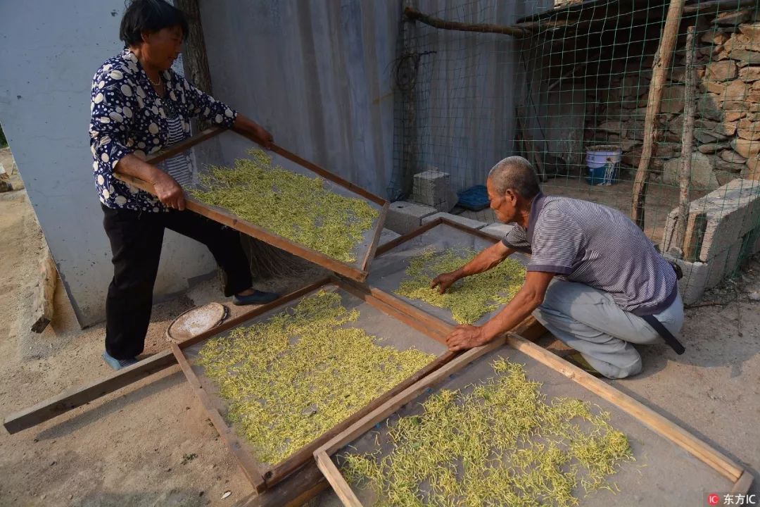 喝凉茶解暑降火你喝对了吗,秋冬火气重喝什么凉茶