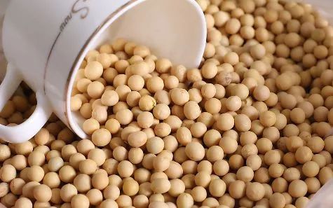 济南智能网联道路,济南车辆上线检测规定