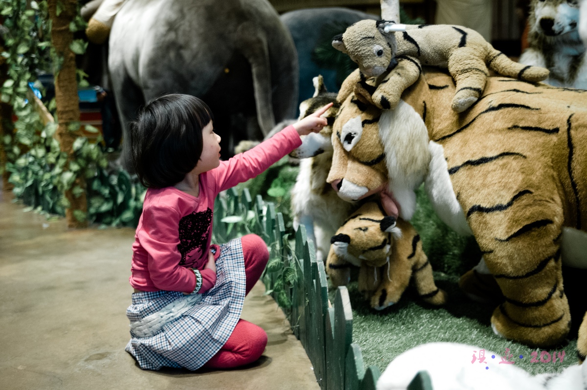 泰迪熊博物馆济州岛拍照攻略,济州岛假泰迪熊博物馆