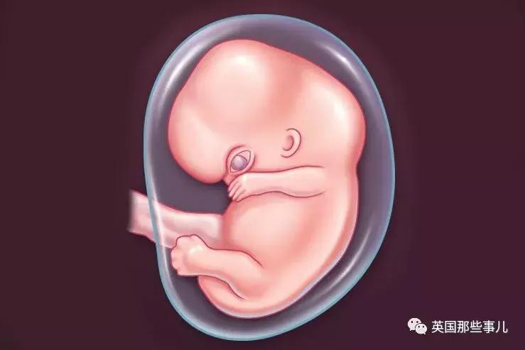 服用伟哥后怀孕对胎儿有影响吗,孕妇使用伟哥保胎