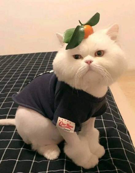 装修时必看的最全干货,装修必备入门知识